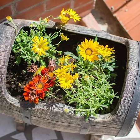 Bellastoria Dubrovník