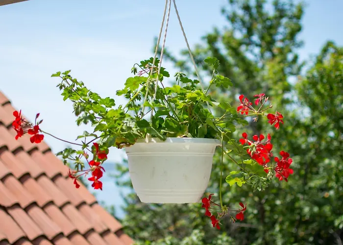 Apartamento Bellastoria *