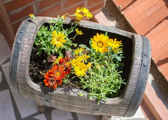 Bellastoria Dubrovnik