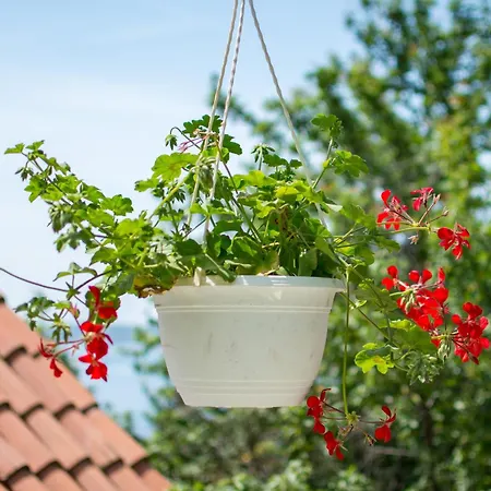 Апартаменты Bellastoria *